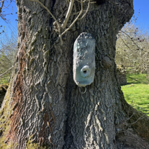 Hibernation Bat Box – New improved design